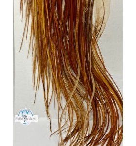 Whiting 1/2 Saddle Bronze Medium Ginger Whiting 1/2 Saddle Bronze Medium Ginger