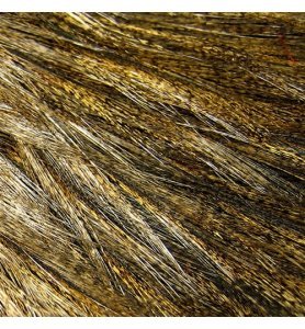 Whiting Coq de Leon Bronze Saddle Dark Pardo Whiting Coq de Leon Bronze Saddle Dark Pardo