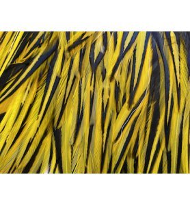 Whiting American Rooster Saddle