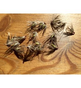 Mosca Dei Capelli Di Cervo - Italia - Foto 10