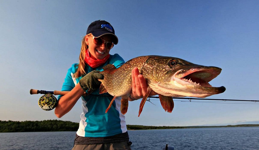 Filo Titanio Pesca Luccio e Predatori